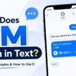 VM mean in text explained with a voice message example