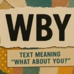 WBY mean in text shown in a casual chat conversation