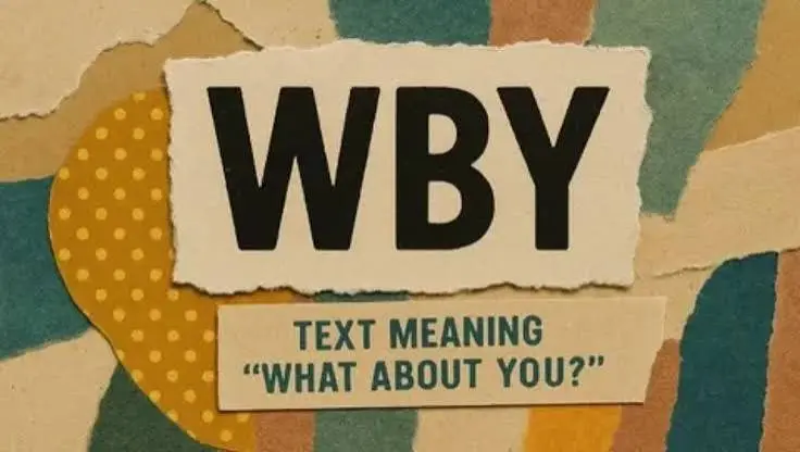 WBY mean in text shown in a casual chat conversation