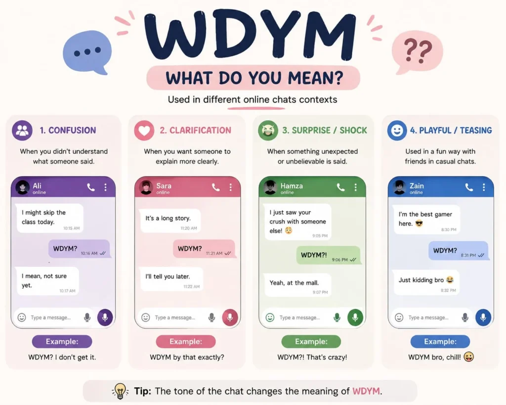 WDYM mean in text used in different online chat contexts