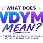 Graphic showing "Wdym Mean In Text"