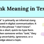 Ionk Meaning In Text explained with texting slang, IONK definition, and chat examples