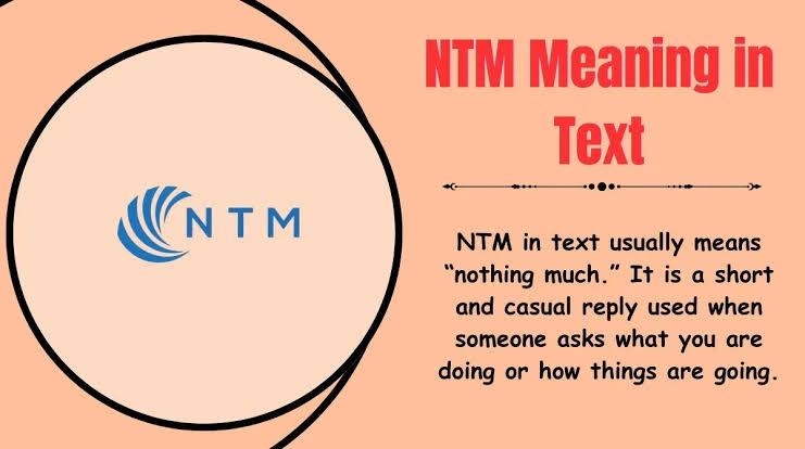  How to reply to NTM in casual, funny, and flirty text conversations