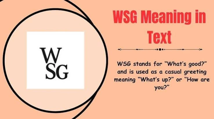  WSG meaning in text showing friendly and flirty conversation examples
