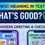 WSG meaning in text shown in a casual smartphone conversation