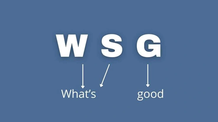  WSG meaning in text final summary with meanings and reply examples
