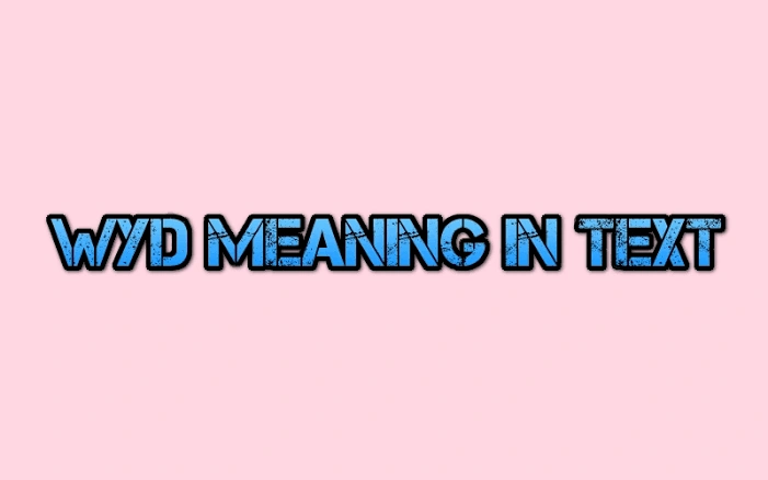  Wyd Meaning In Text used across Instagram, Snapchat and TikTok