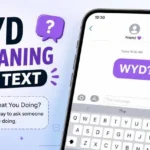 Wyd Meaning In Text shown in a casual texting conversation